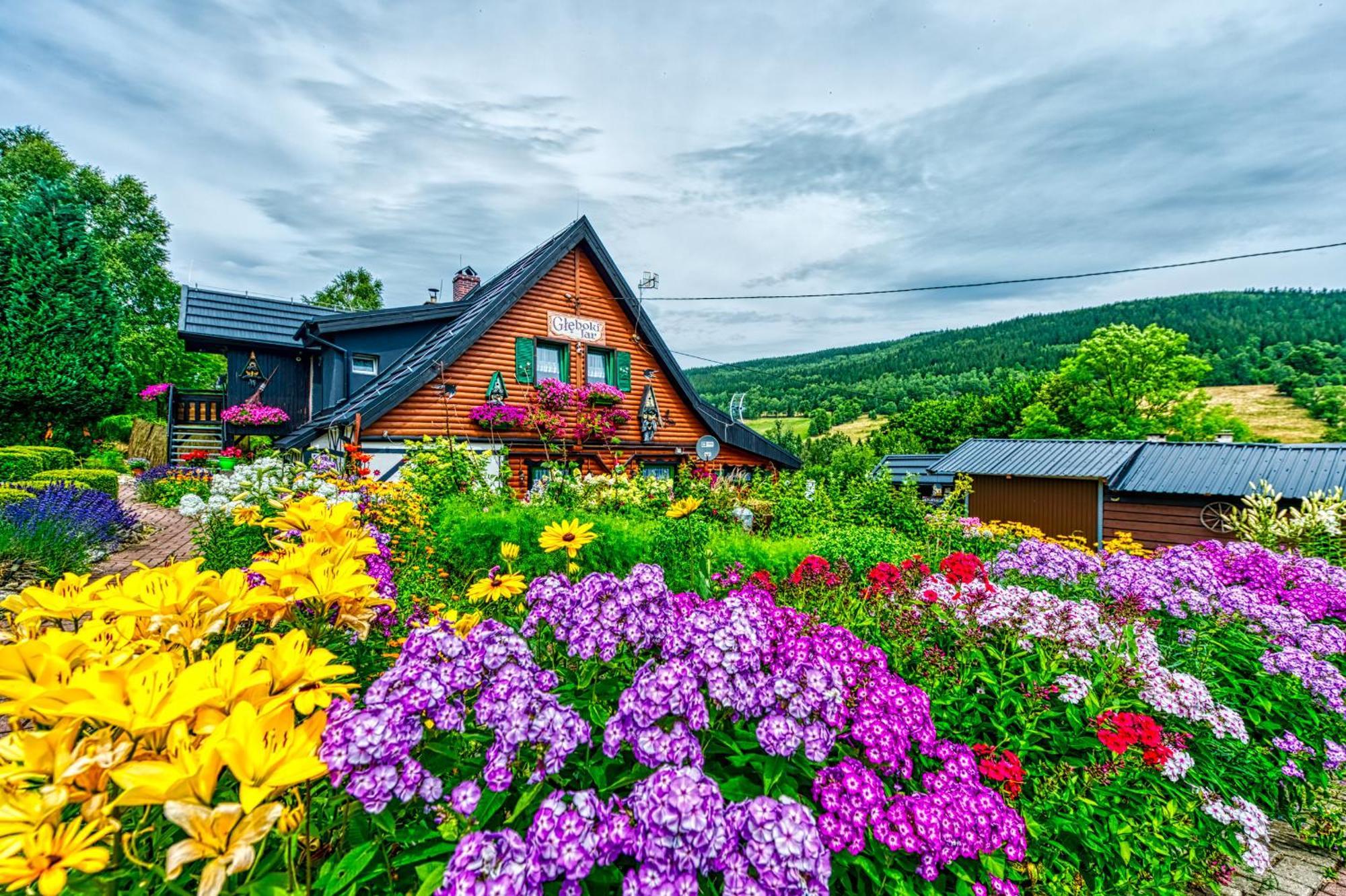 Gleboki Jar Apartment ชเวียราโดว์-สโดรยจ์ ภายนอก รูปภาพ